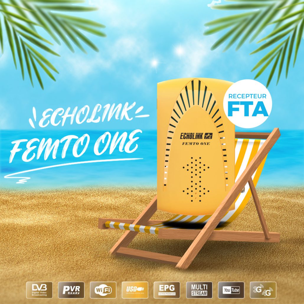 Echolink Femto one